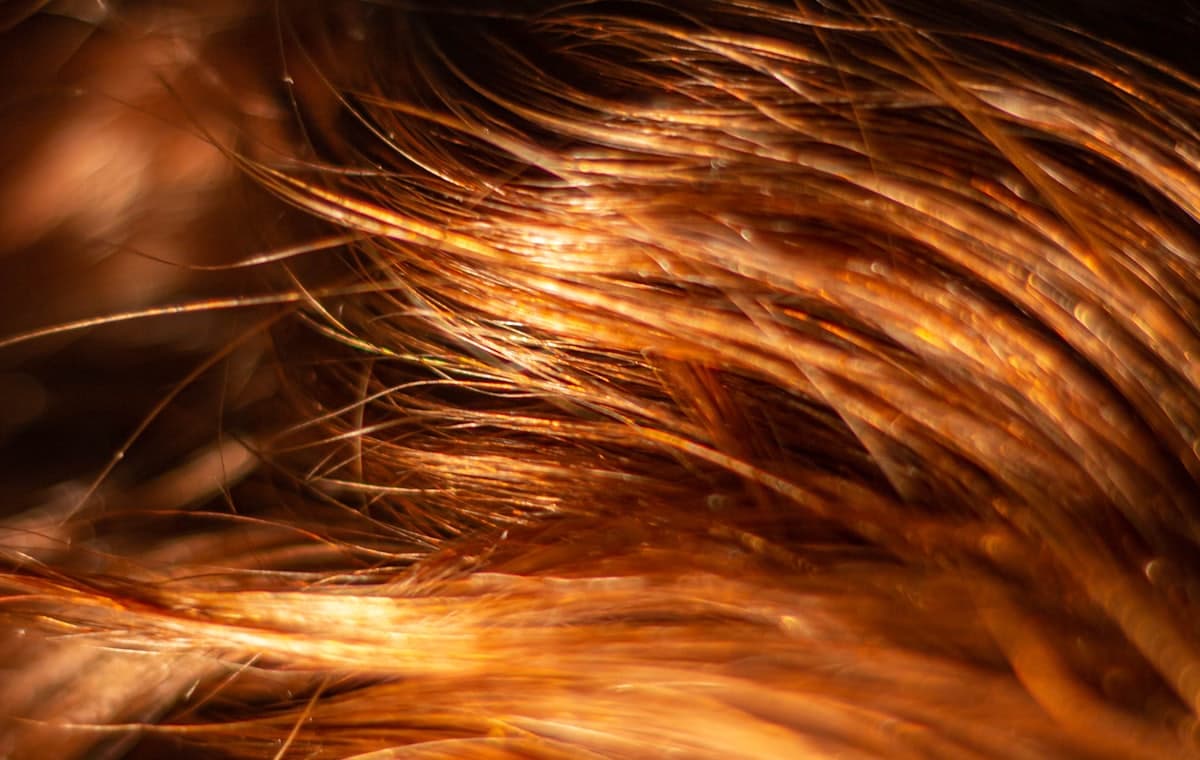 Raw Hair Sourcing